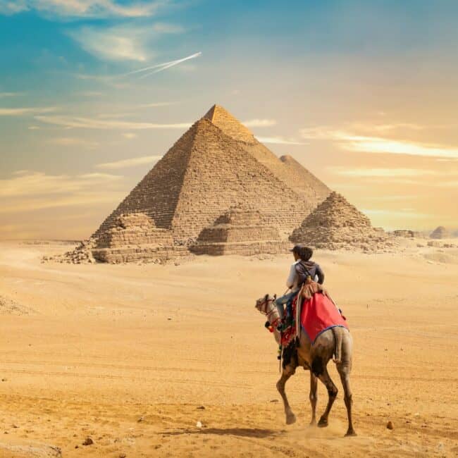 Camel and the Pyramids