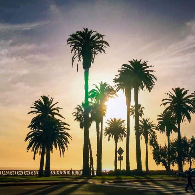 Golden hour at Palisades Park, Santa Monica